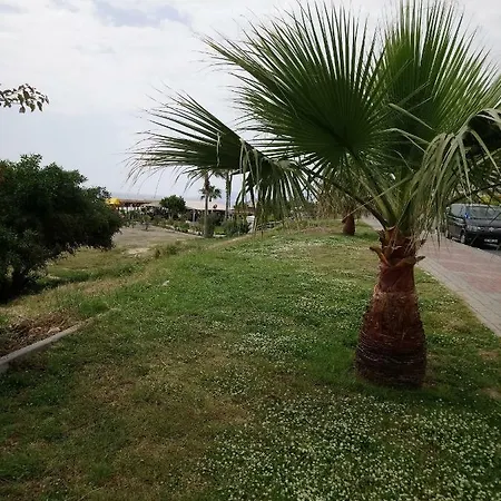 Lejlighed Alanya Homes Families Only Mahmutlar